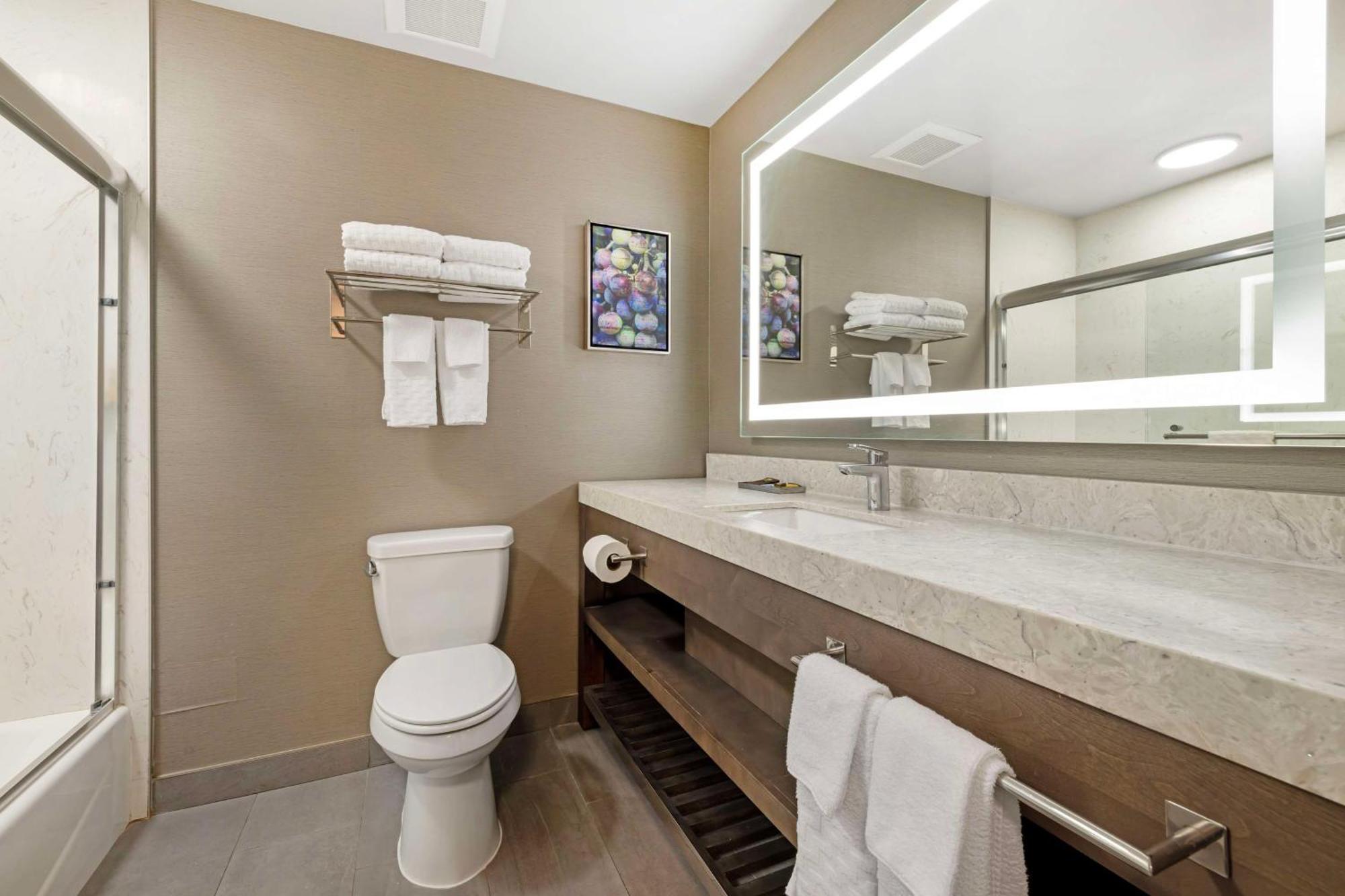 Best Western Plus Temecula Wine Country Hotel & Suites Buitenkant foto